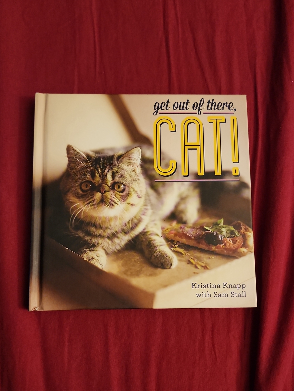 Get Out of There, Cat! - Yellow Cover Cat Book